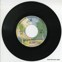 P-228W disc