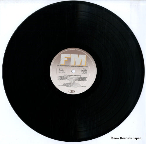 SM42205 disc