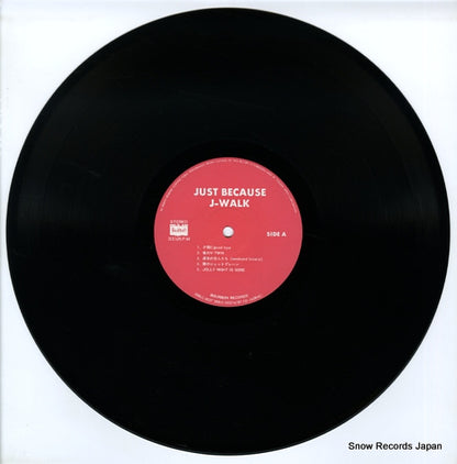 28BLC-3037 disc