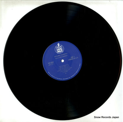 VIP-4044 disc