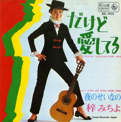 BS-955 front cover
