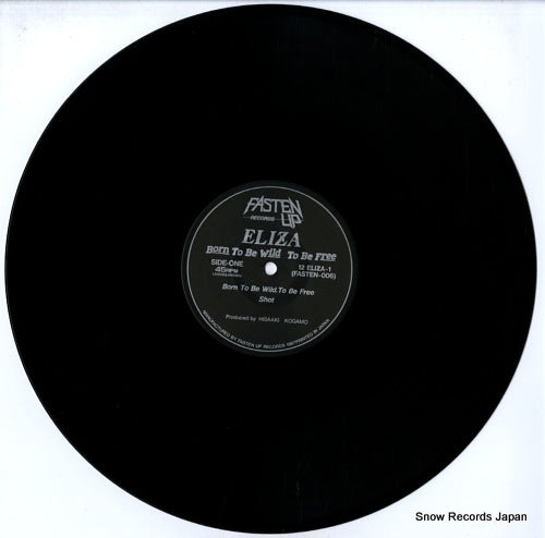 12ELIZA-1 / FASTEN-006 disc
