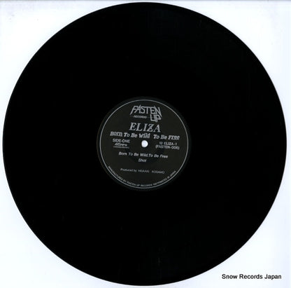 12ELIZA-1 / FASTEN-006 disc