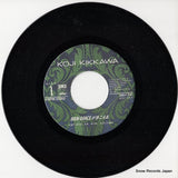 SM07-256 disc