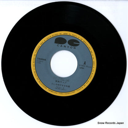 7A0666 disc