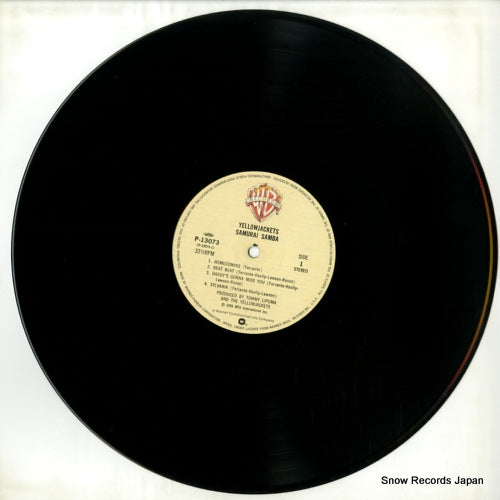 P-13073 disc