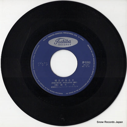 JP-5263 disc