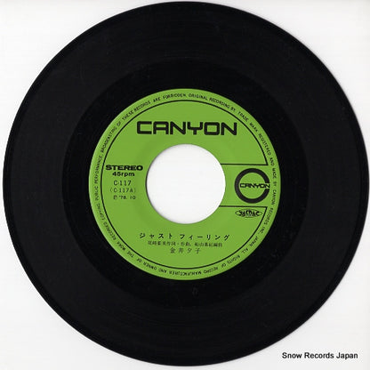 C-117 disc