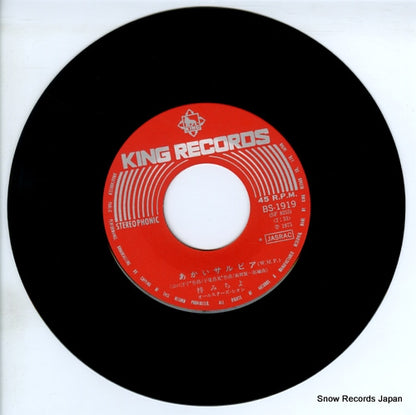 BS-1919 disc