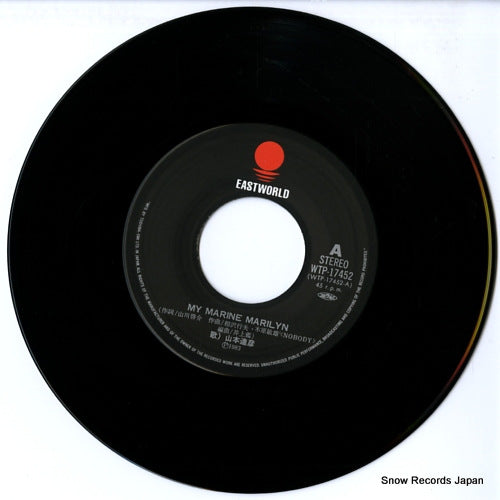 WTP-17452 disc
