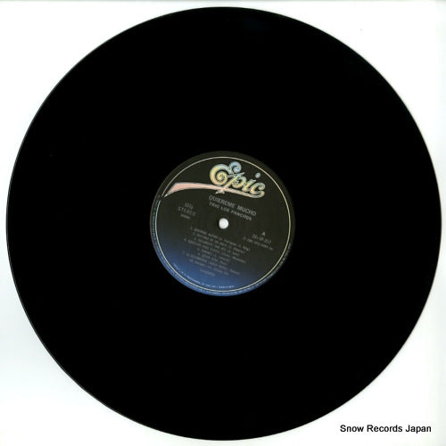 28.3P-357 disc