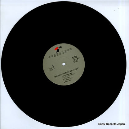 AF-7481 disc