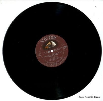 VIC-9019 disc