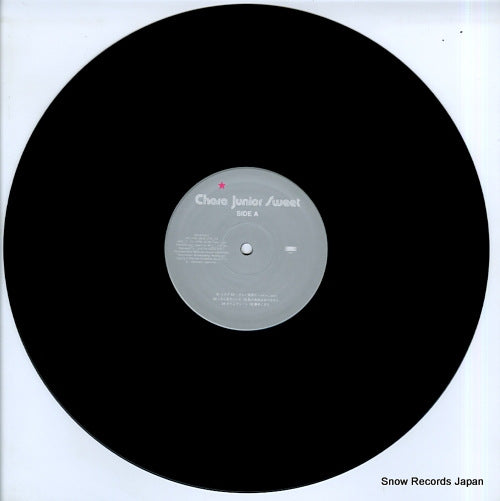 QDJB93017 disc