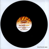 FESX33 disc