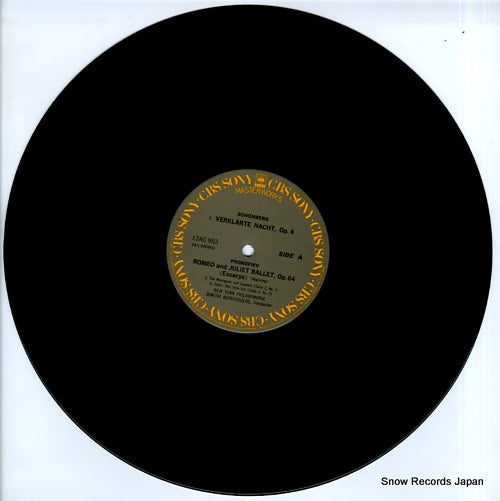 13AC953 disc