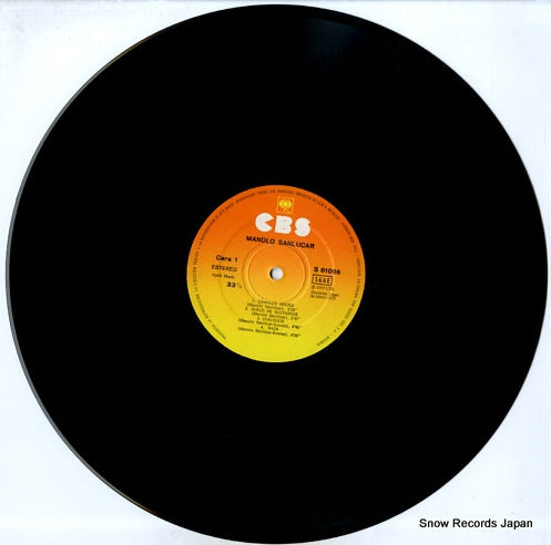 S81066 disc