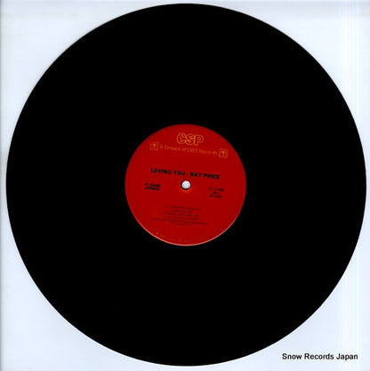 P16489 disc