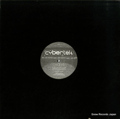 BDS-809 back cover