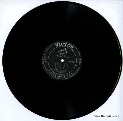 SJV-6017 disc