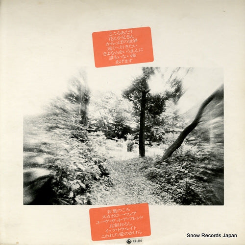 SKD100 back cover