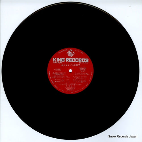 SKD100 disc