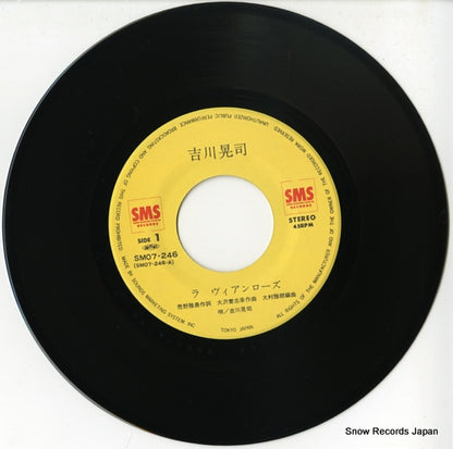 SM07-246 disc