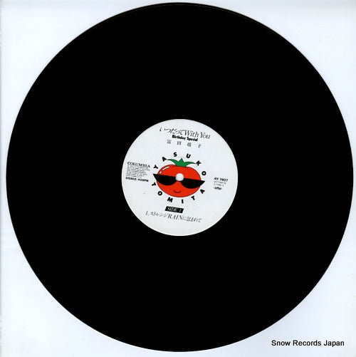 AY-7407 disc