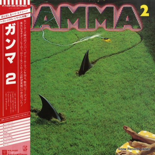 P-10918E front cover