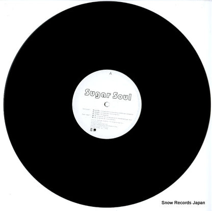 FLV-2006 disc