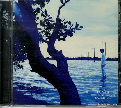 BVCR-809 front cover