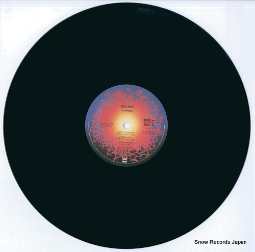 30AP2138 disc
