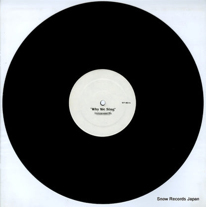 WP880 disc
