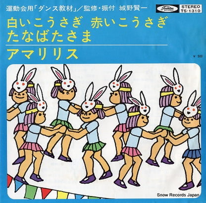 TS-1310 front cover