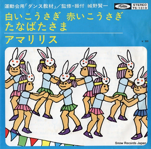 TS-1310 front cover