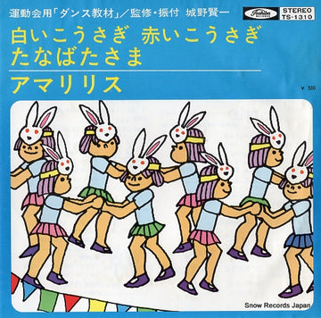 TS-1310 front cover