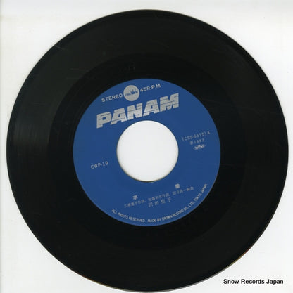 CWP-19 disc