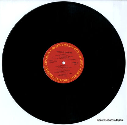 28AH2054 disc