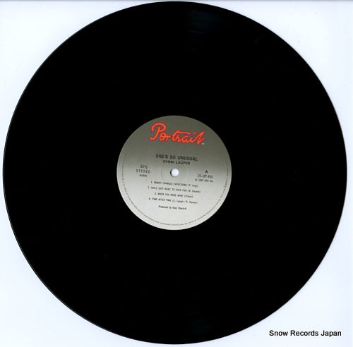 25.3P-486 disc