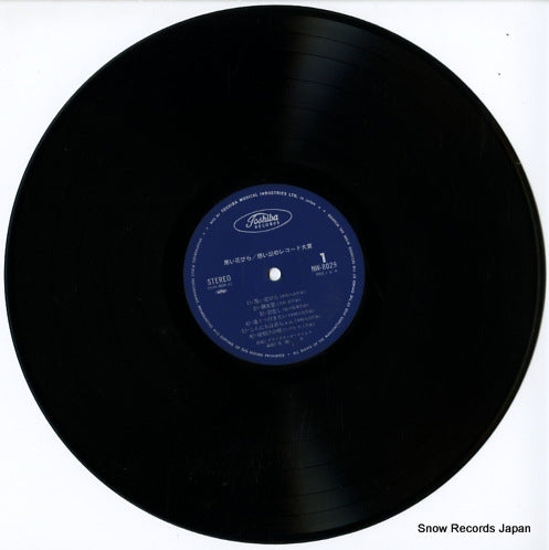 NW-8029 disc