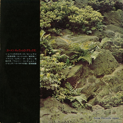 SDL3 back cover