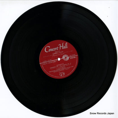 CHJ(S)-30008 disc