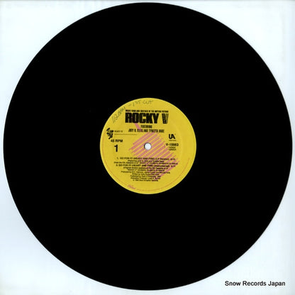 V-15663 disc