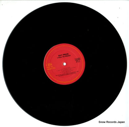 P13251 disc
