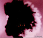 AICT1083 front cover