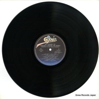 25.3P-83 disc