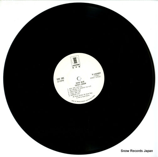 P-10248Y disc