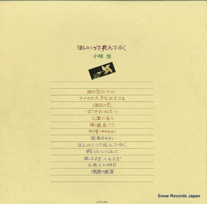MR5028 back cover