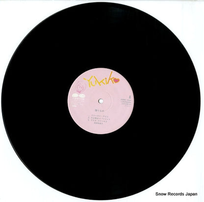 C20A0384 disc