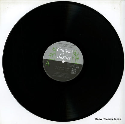 C28R0145 disc